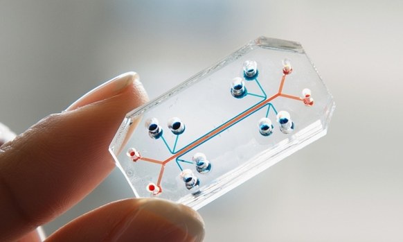 organs_on_chips