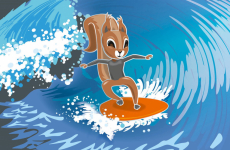 Surfing squirrel