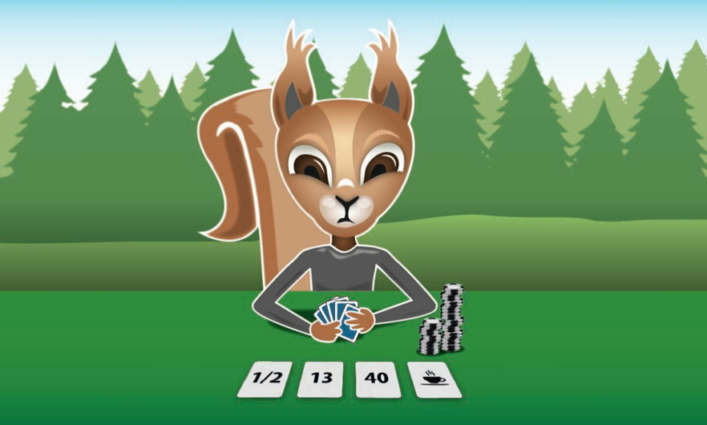 Squirrel playing poker